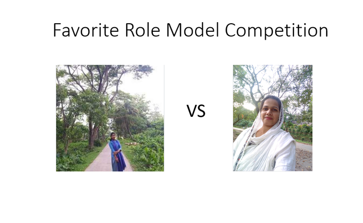 Favorite Role Model Competition