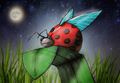 The Journey of the Ladybug - $7 Science Quiz (Active) - View Qui