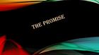 The Promise - $10 English writing project